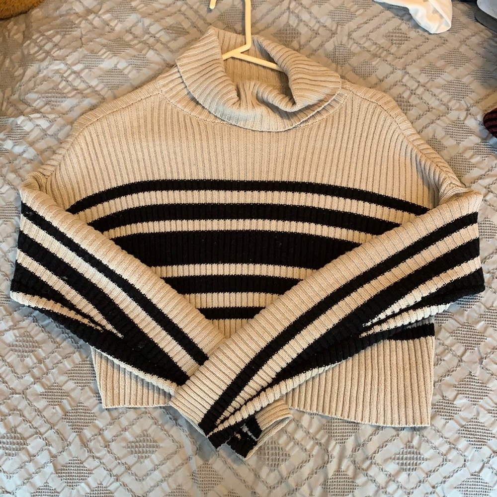 Cropped Turtleneck Sweater